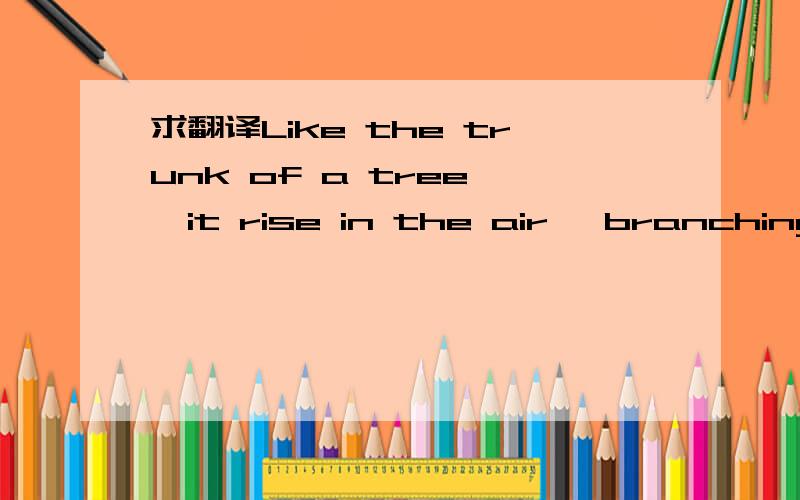 求翻译Like the trunk of a tree ,it rise in the air, branching out as it climb