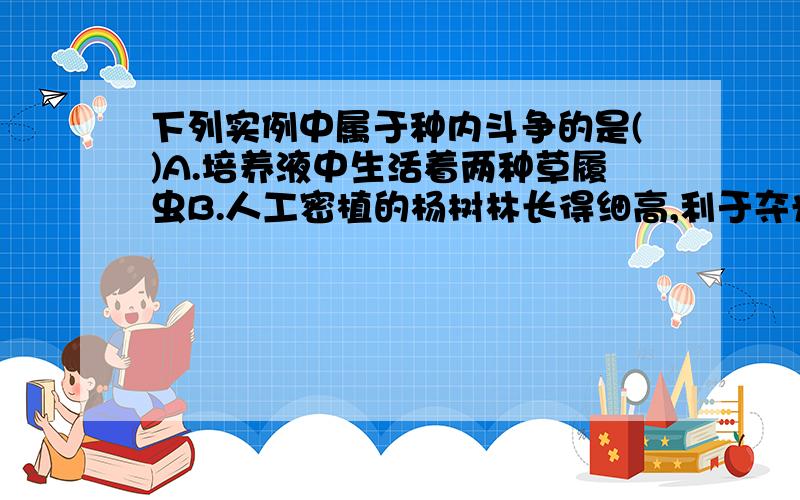 下列实例中属于种内斗争的是()A.培养液中生活着两种草履虫B.人工密植的杨树林长得细高,利于夺光C.噬菌体侵入细菌体内D.鲈鱼的成鱼以鲤鱼的幼鱼为食