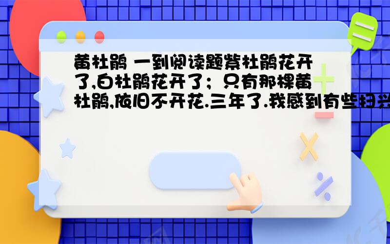 黄杜鹃 一到阅读题紫杜鹃花开了,白杜鹃花开了；只有那棵黄杜鹃,依旧不开花.三年了.我感到有些扫兴!我尽心尽意,一视同仁,培养侍弄了三年,紫的给我温馨,白的送我洁净,只有你,黄杜鹃,为什