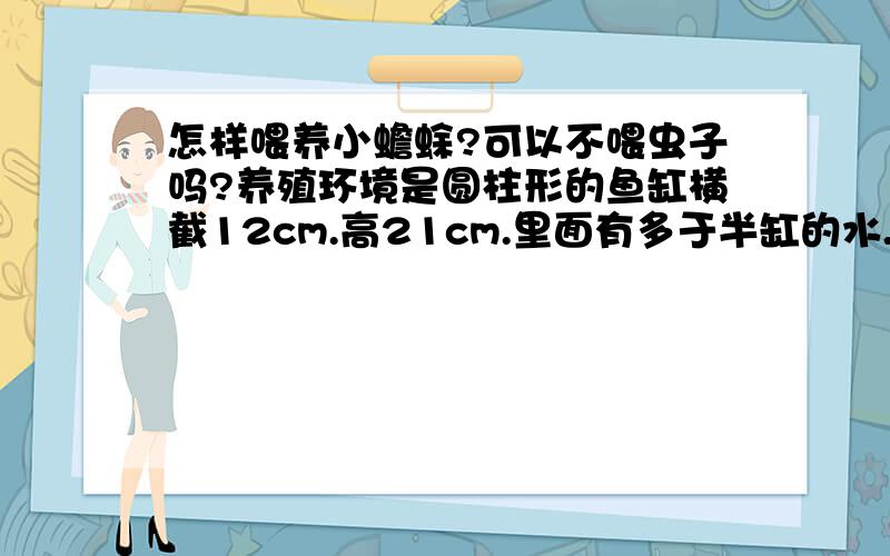 怎样喂养小蟾蜍?可以不喂虫子吗?养殖环境是圆柱形的鱼缸横截12cm.高21cm.里面有多于半缸的水.蟾蜍身长4cm,很普通的种类,我不太懂这类东西.它们腿很长.有一只喜欢在缸底一直趴着,另外两只