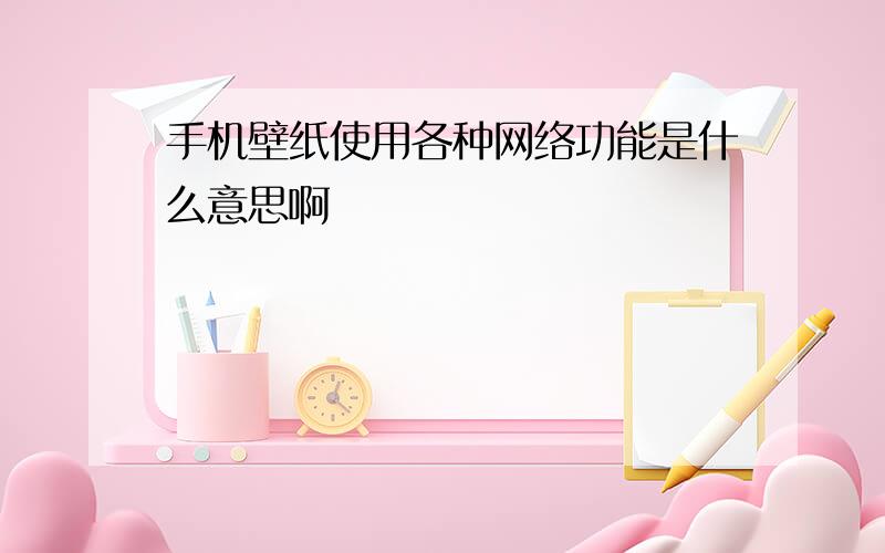 手机壁纸使用各种网络功能是什么意思啊