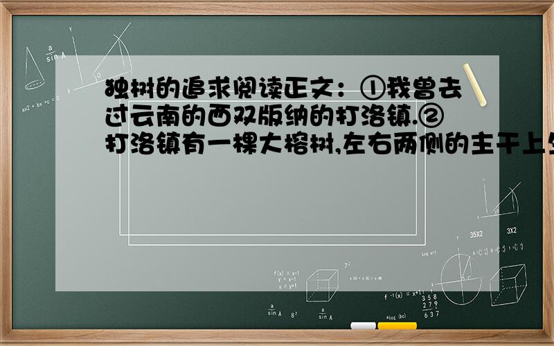 独树的追求阅读正文：①我曾去过云南的西双版纳的打洛镇.②打洛镇有一棵大榕树,左右两侧的主干上生有三十余条气生支柱根,垂直而下,扎入土地,形成根部相连的丛生状支柱根,俨严像一片