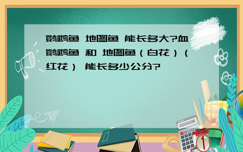 鹦鹉鱼 地图鱼 能长多大?血鹦鹉鱼 和 地图鱼（白花）（红花） 能长多少公分?