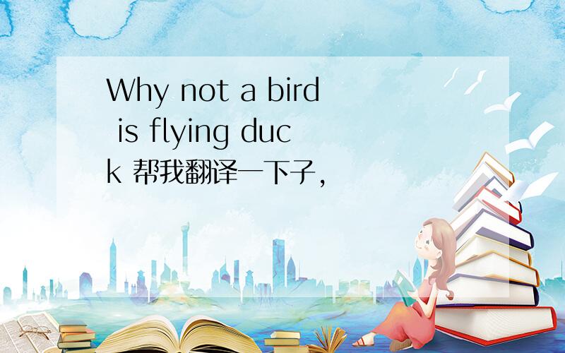 Why not a bird is flying duck 帮我翻译一下子,