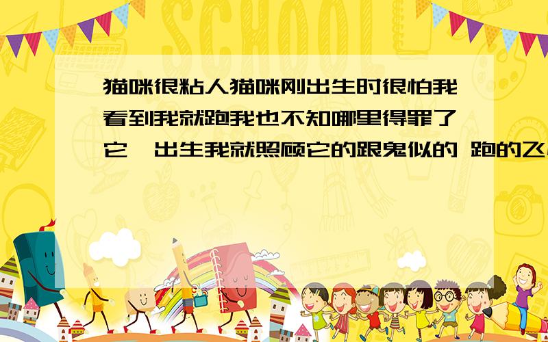 猫咪很粘人猫咪刚出生时很怕我看到我就跑我也不知哪里得罪了它一出生我就照顾它的跟鬼似的 跑的飞快长大了 发现它有残疾一同生下的猫咪都嫁出去了只剩下它没人要母猫也开始赶他走