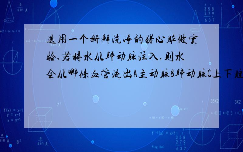 选用一个新鲜洗净的猪心脏做实验,若将水从肺动脉注入,则水会从哪条血管流出A主动脉B肺动脉C上下腔静脉D肺静脉