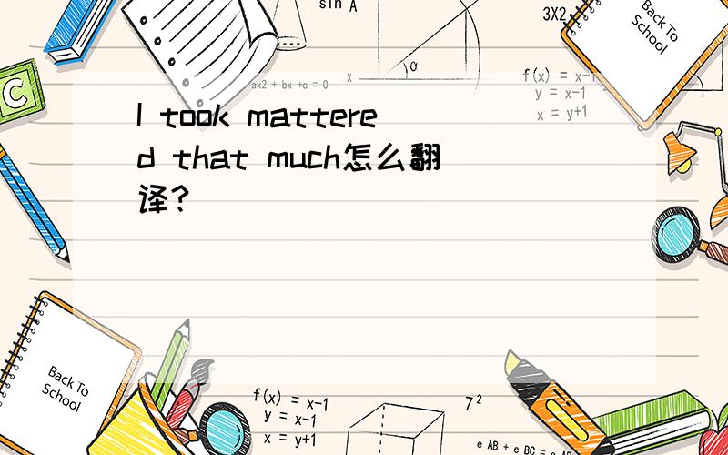 I took mattered that much怎么翻译?