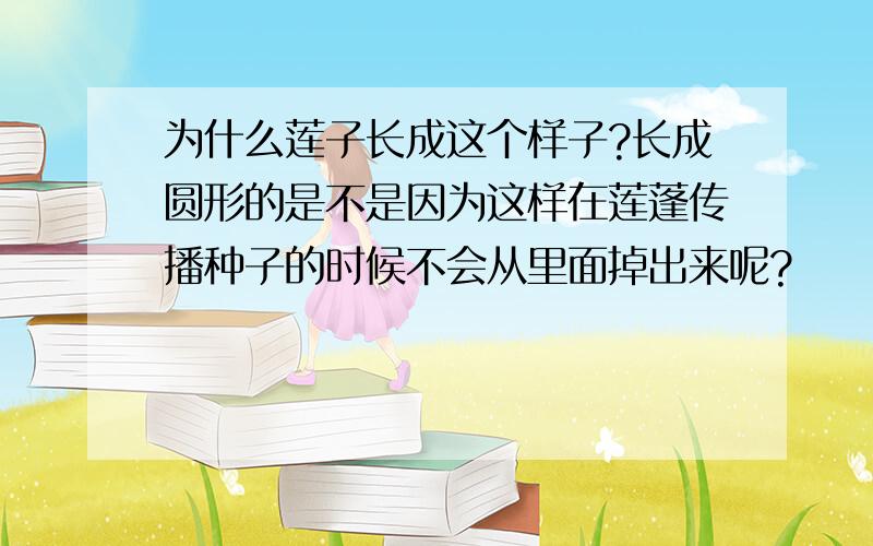 为什么莲子长成这个样子?长成圆形的是不是因为这样在莲蓬传播种子的时候不会从里面掉出来呢?