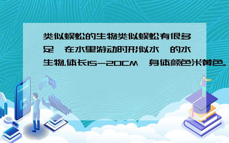 类似蜈蚣的生物类似蜈蚣有很多足,在水里游动时形似水蛭的水生物.体长15-20CM,身体颜色米黄色。