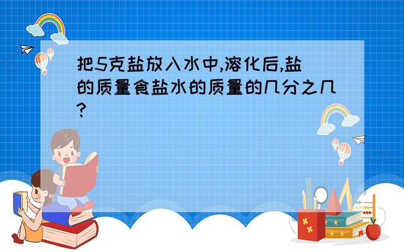 把5克盐放入水中,溶化后,盐的质量食盐水的质量的几分之几?