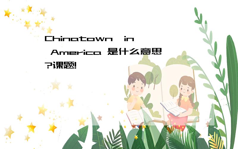 Chinatown  in  America 是什么意思?课题!