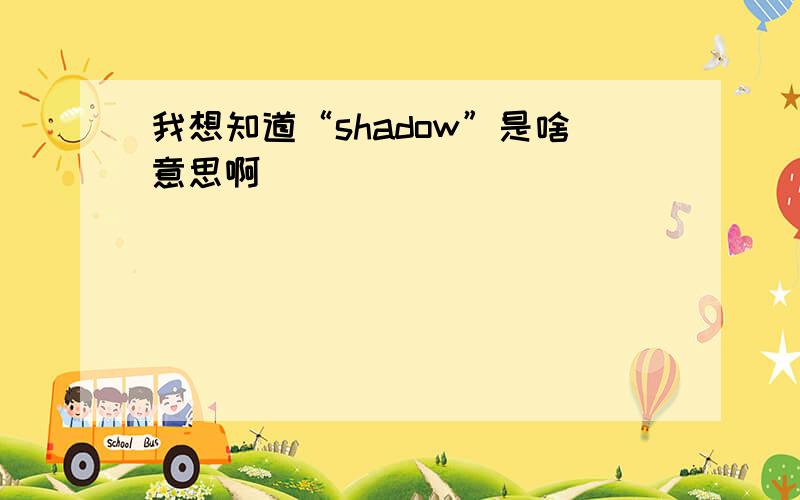 我想知道“shadow”是啥意思啊