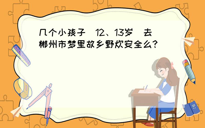 几个小孩子（12、13岁）去郴州市梦里故乡野炊安全么?