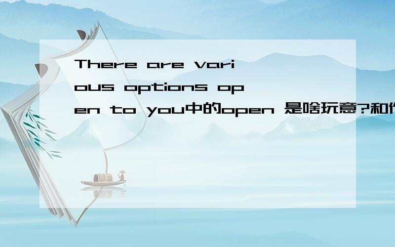 There are various options open to you中的open 是啥玩意?和作用