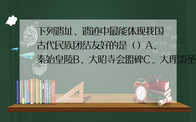 下列遗址、遗迹中最能体现我国古代民族团结友好的是（）A、秦始皇陵B、大昭寺会盟碑C、大理崇圣寺D、敦煌莫高窟