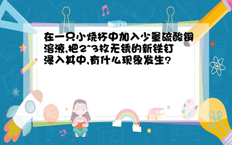 在一只小烧杯中加入少量硫酸铜溶液,把2~3枚无锈的新铁钉浸入其中,有什么现象发生?