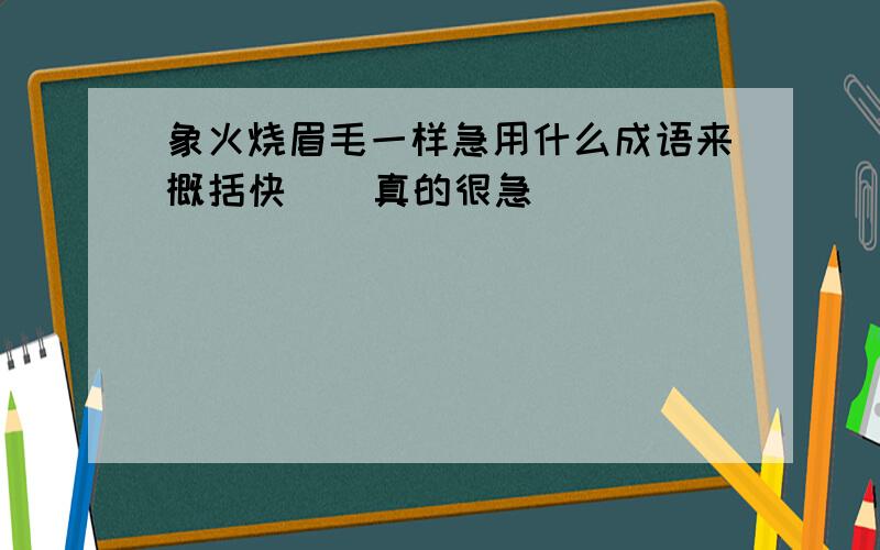 象火烧眉毛一样急用什么成语来概括快    真的很急