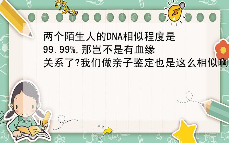 两个陌生人的DNA相似程度是99.99%,那岂不是有血缘关系了?我们做亲子鉴定也是这么相似啊?怎么区分?