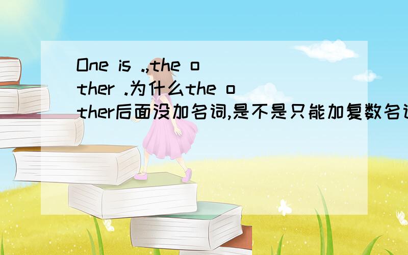 One is .,the other .为什么the other后面没加名词,是不是只能加复数名词