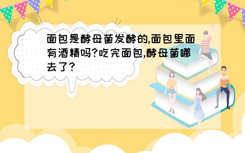 面包是酵母菌发酵的,面包里面有酒精吗?吃完面包,酵母菌哪去了?