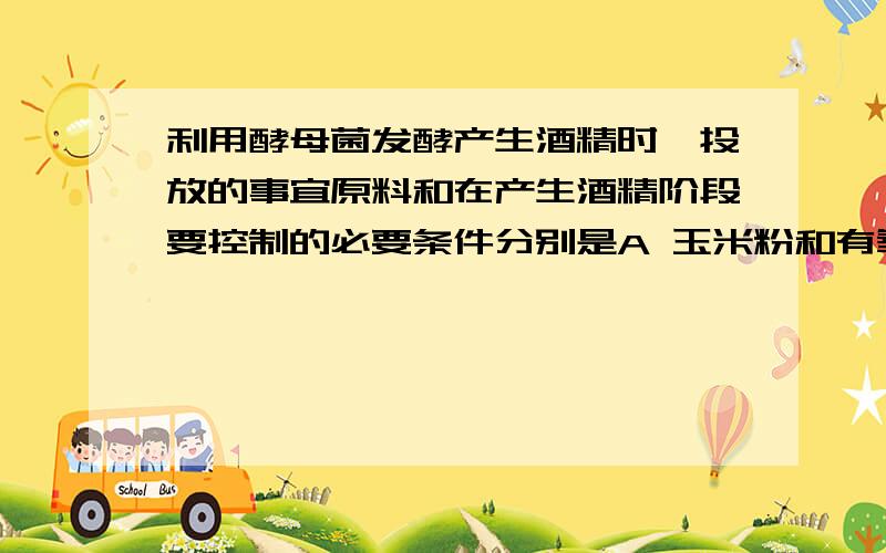 利用酵母菌发酵产生酒精时,投放的事宜原料和在产生酒精阶段要控制的必要条件分别是A 玉米粉和有氧B 大豆粉和有氧C 玉米粉和无氧D 大豆粉和无氧为什麽?