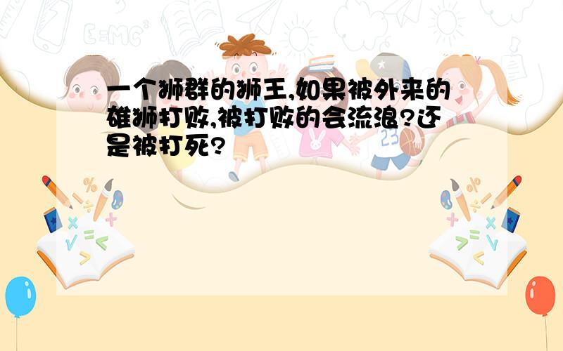 一个狮群的狮王,如果被外来的雄狮打败,被打败的会流浪?还是被打死?