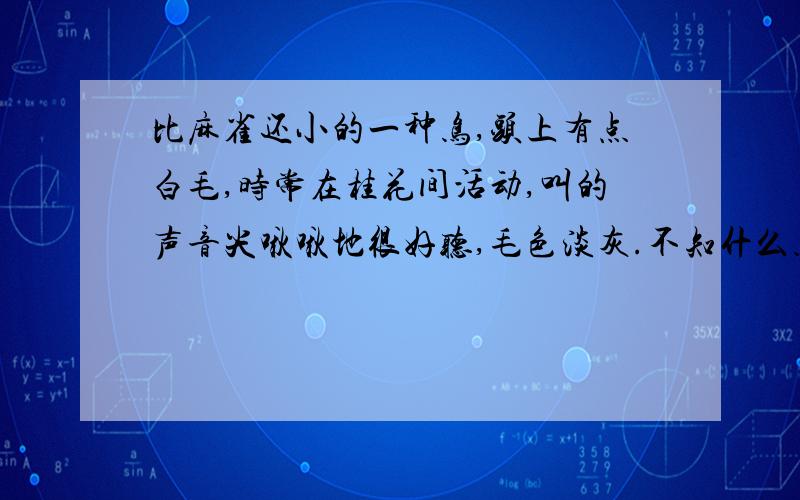 比麻雀还小的一种鸟,头上有点白毛,时常在桂花间活动,叫的声音尖啾啾地很好听,毛色淡灰.不知什么鸟?