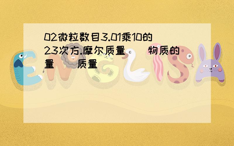 02微粒数目3.01乘10的23次方.摩尔质量()物质的量()质量()