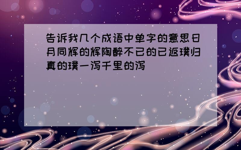 告诉我几个成语中单字的意思日月同辉的辉陶醉不已的已返璞归真的璞一泻千里的泻