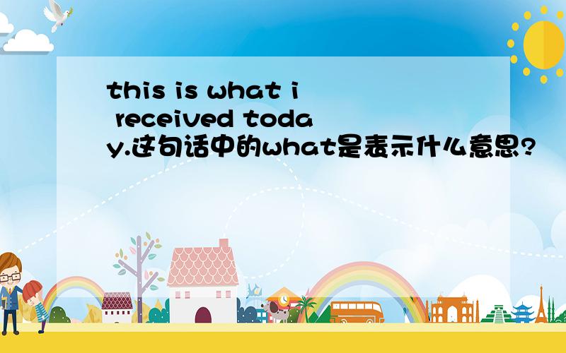 this is what i received today.这句话中的what是表示什么意思?