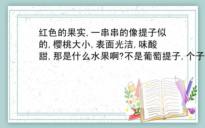 红色的果实,一串串的像提子似的,樱桃大小,表面光洁,味酸甜,那是什么水果啊?不是葡萄提子,个子要小一些,有点像红灯笼,颜色很鲜红,果实上还有花蒂的.