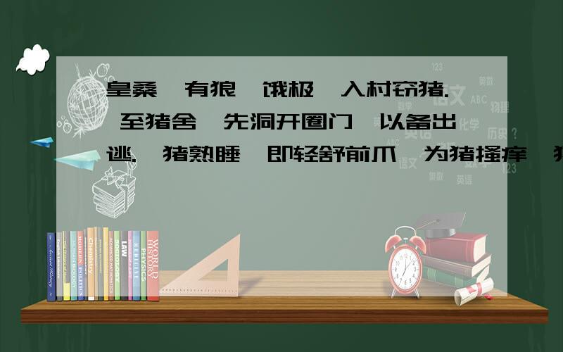 皇桑峪有狼,饿极,入村窃猪. 至猪舍,先洞开圈门,以备出逃.觑猪熟睡,即轻舒前爪,为猪搔痒,猪身多虱,搔之甚感惬意.搔到妙处,猪四蹄平伸,一任摆布. 至久,狼微错长牙,轻啮猪耳,使立,与之并肩