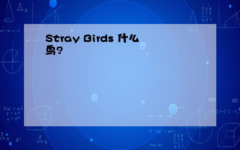 Stray Birds 什么鸟?