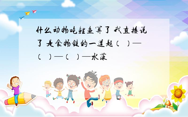 什么动物吃鲤鱼算了 我直接说了 是食物链的一道题（ ）—（ ）—（ ）—水藻