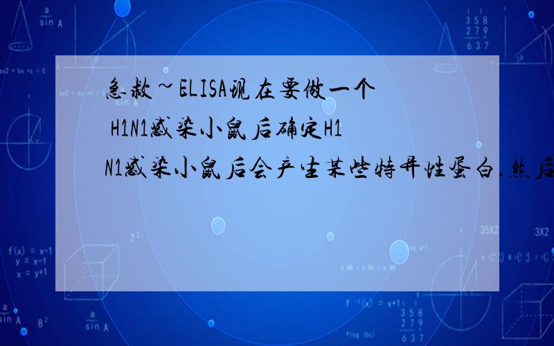 急救~ELISA现在要做一个 H1N1感染小鼠后确定H1N1感染小鼠后会产生某些特异性蛋白.然后用血清做ELISA 检验这个蛋白 （抗体就不用说了 那个特异性不强） 请问 有谁有过这方面经验 知道小鼠受H