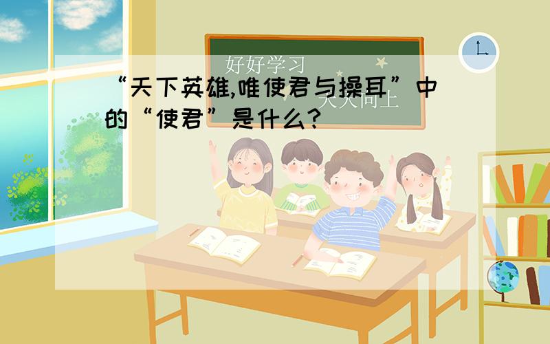 “天下英雄,唯使君与操耳”中的“使君”是什么?