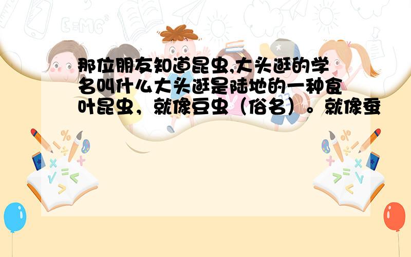 那位朋友知道昆虫,大头逛的学名叫什么大头逛是陆地的一种食叶昆虫，就像豆虫（俗名）。就像蚕