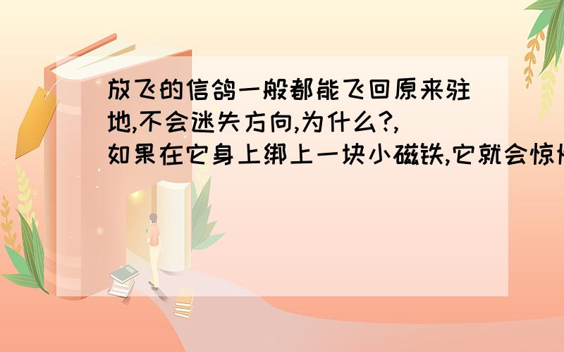 放飞的信鸽一般都能飞回原来驻地,不会迷失方向,为什么?,如果在它身上绑上一块小磁铁,它就会惊慌失措,立即失去定向能力,为什么?