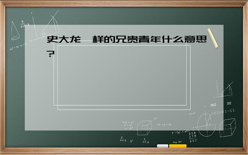 史大龙一样的兄贵青年什么意思?