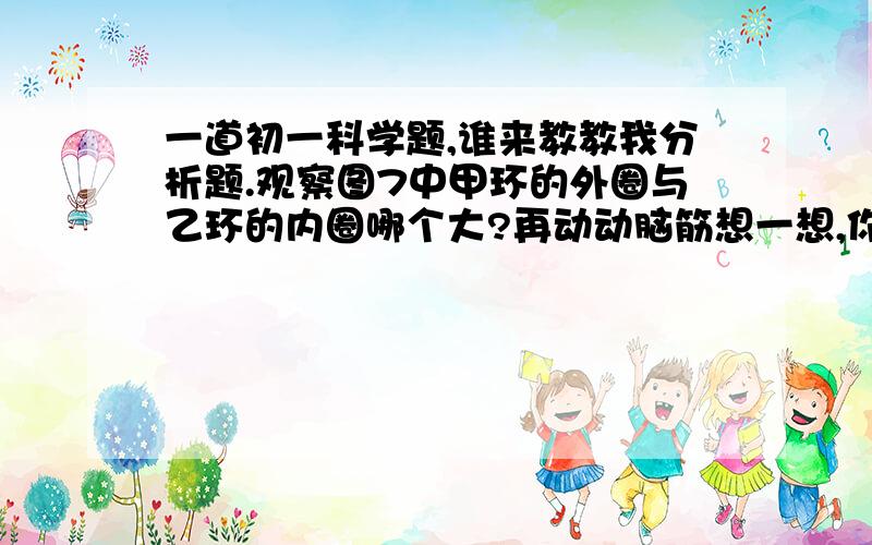 一道初一科学题,谁来教教我分析题.观察图7中甲环的外圈与乙环的内圈哪个大?再动动脑筋想一想,你有几种方法来证明你的判断.