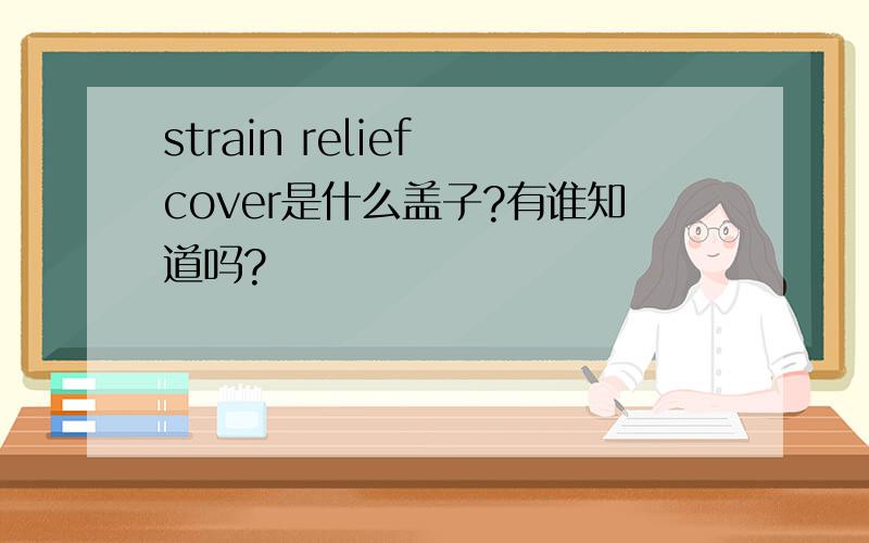 strain relief cover是什么盖子?有谁知道吗?