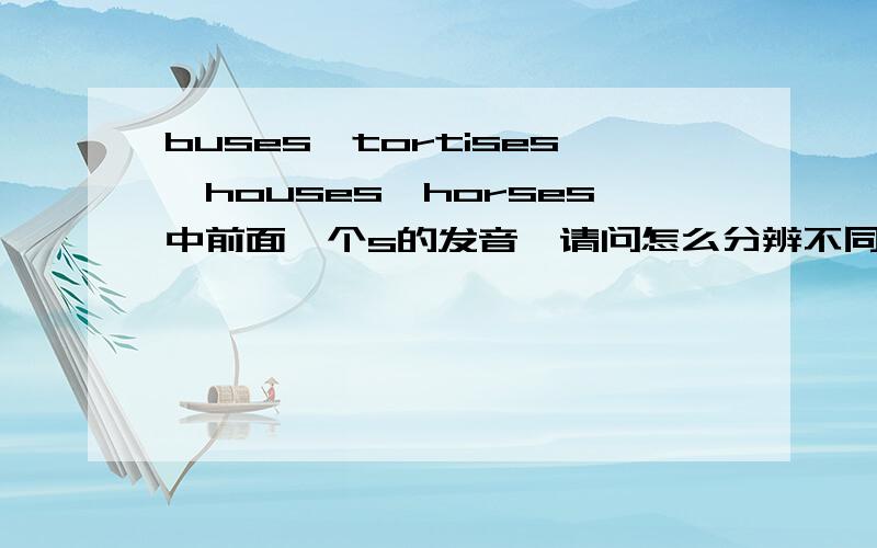 buses,tortises,houses,horses中前面一个s的发音,请问怎么分辨不同tortoises