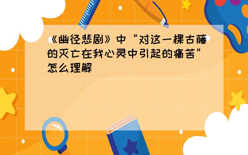 《幽径悲剧》中“对这一棵古藤的灭亡在我心灵中引起的痛苦”怎么理解