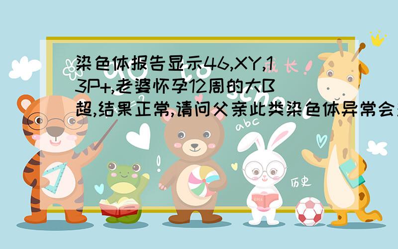 染色体报告显示46,XY,13P+,老婆怀孕12周的大B超,结果正常,请问父亲此类染色体异常会对胎儿有何影响?谢谢楼下2位的热心回答,因题目数字限制,所以删掉了一些文字,现补充如下:染色体报告是我