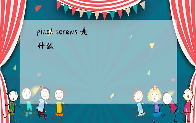 pinch screws 是什么