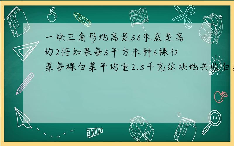一块三角形地高是56米底是高的2倍如果每5平方米种6棵白菜每棵白菜平均重2.5千克这块地共收白菜多少千克