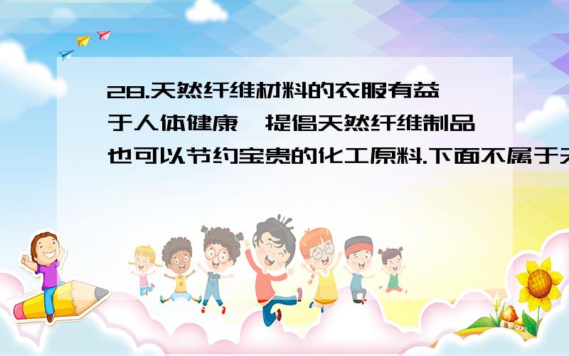 28.天然纤维材料的衣服有益于人体健康,提倡天然纤维制品也可以节约宝贵的化工原料.下面不属于天然纤...28.天然纤维材料的衣服有益于人体健康,提倡天然纤维制品也可以节约宝贵的化工原