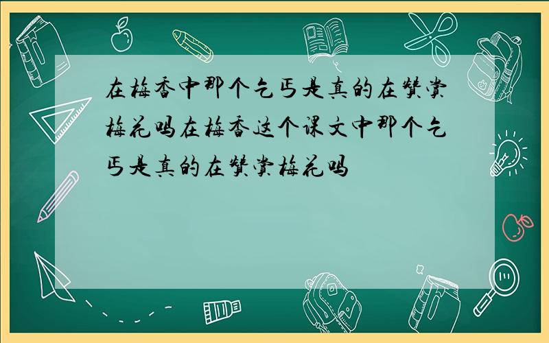 在梅香中那个乞丐是真的在赞赏梅花吗在梅香这个课文中那个乞丐是真的在赞赏梅花吗