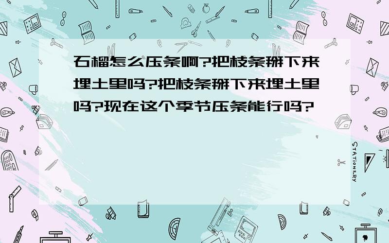 石榴怎么压条啊?把枝条掰下来埋土里吗?把枝条掰下来埋土里吗?现在这个季节压条能行吗?