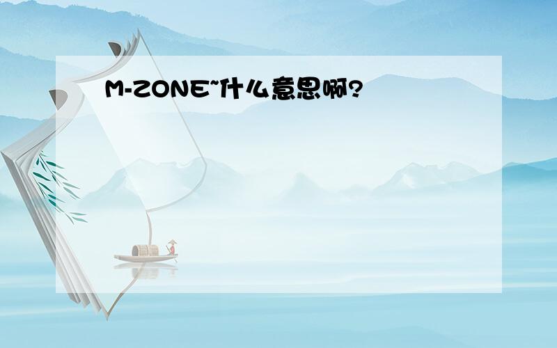 M-ZONE~什么意思啊?